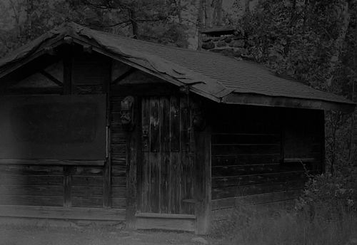 Cabin 13