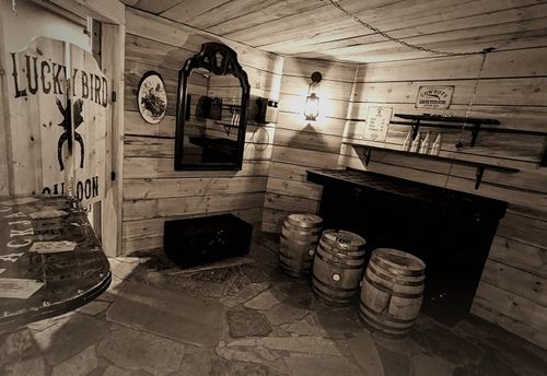 Trouble At The Lucky Bird Saloon