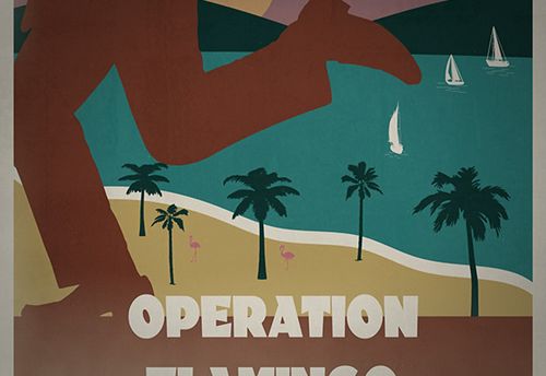Operation Flamingo – Secret Agent