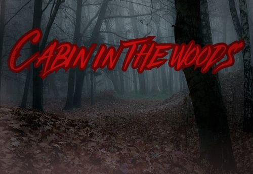 Cabin in The Woods