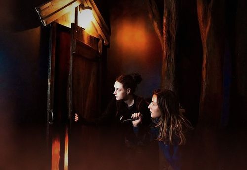 Cabin Fever