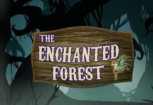 Enchanted Forest