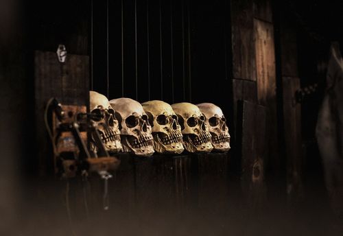 Asylum
