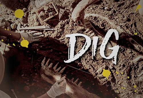 Dig