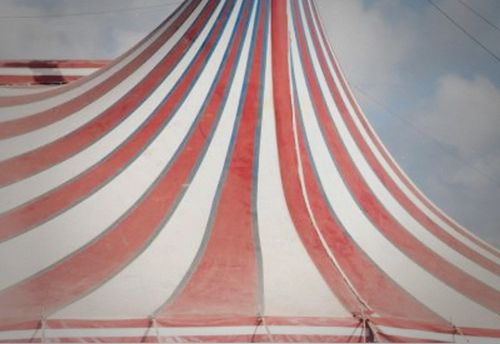 Carnival Crisis