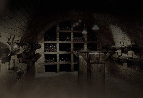 Wine Cellar