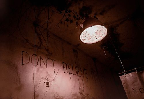 The Asylum