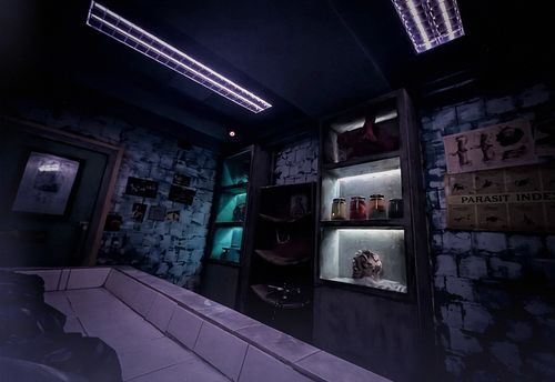 L'asile psychiatrique