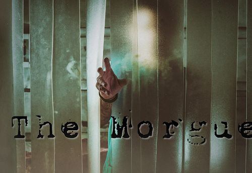 The Morgue