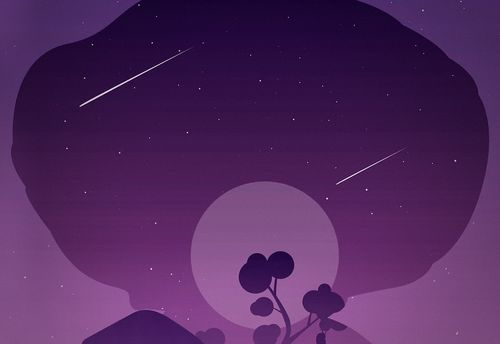 Wonderland