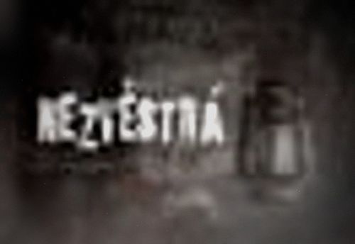 Nezvěstná