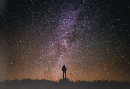 The Mystery of The Missing Professor