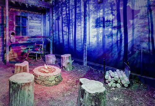 The Cabin