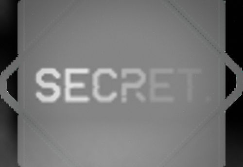 Secret Mission