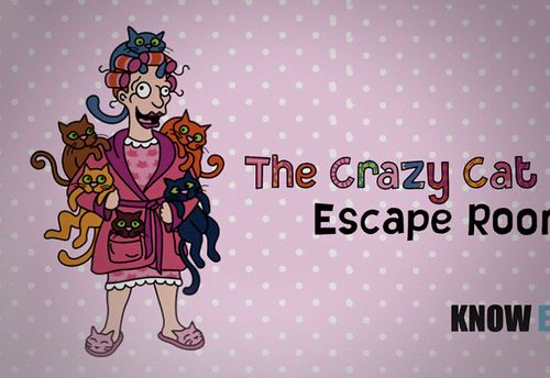 Crazy Cat Lady