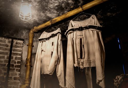 The Asylum