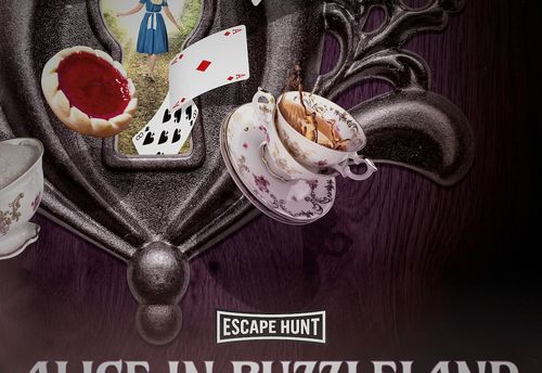 Alice in Puzzleland