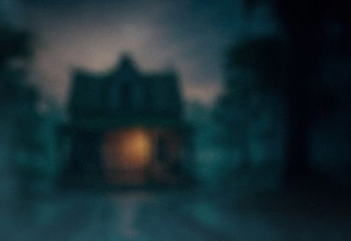 Willow Hollow