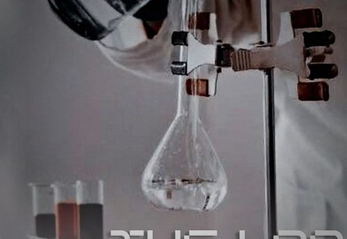 The Lab