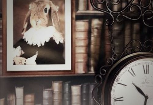 Escape From Wonderland