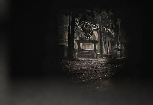 Theory III: The Litchver Woodland