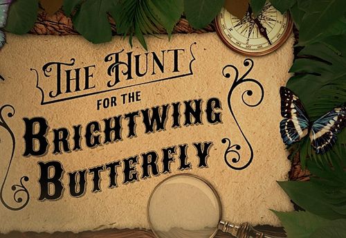 The Hunt for the Brightwing Butterfly