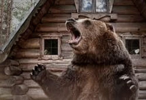 Bear Trap