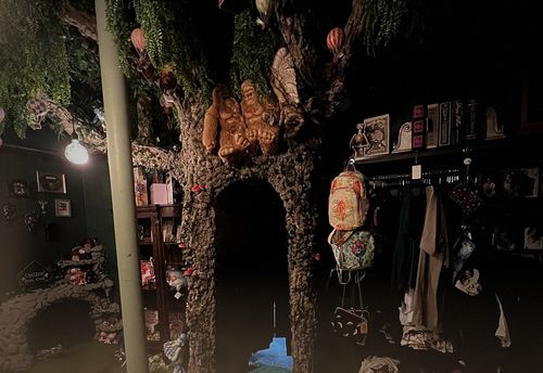 Dark Mark Arts: The Cabinet of Curiosities