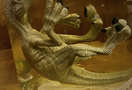 Jurassic Labs