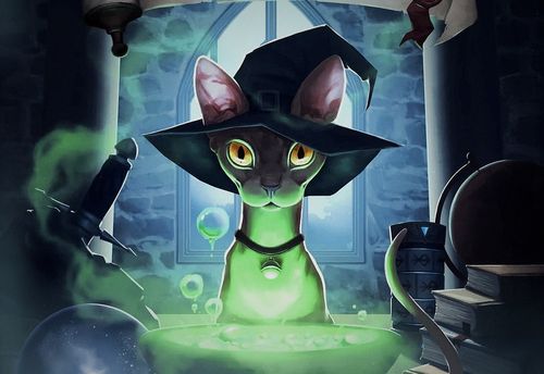 Wizard Academy