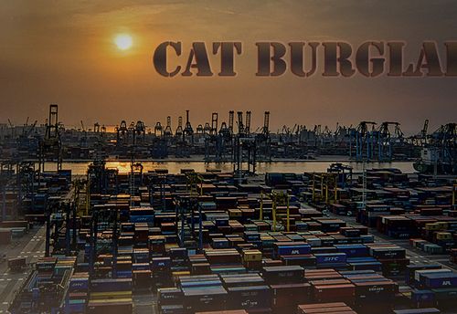 Cat Burglar