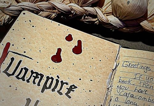 Vampire Hunter