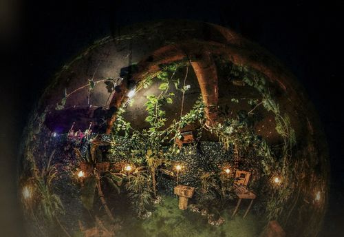 Lost in the Jungle