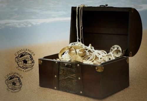 The Pirate's Code