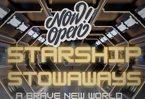 Starship Stowaways
