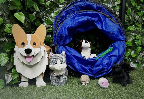 Pet Park Palooza