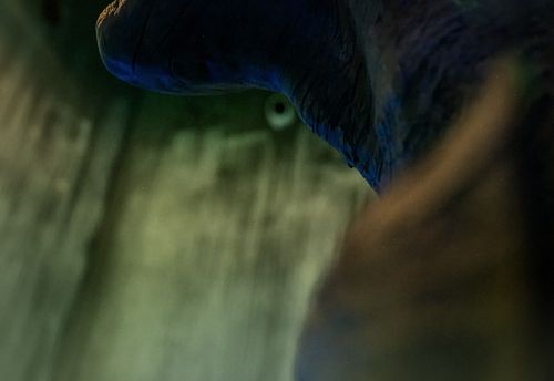 FRANKENSTEIN