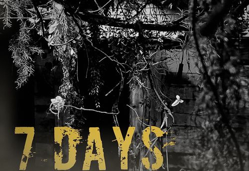 7 Days