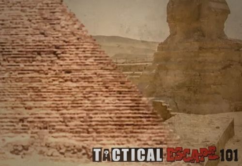 The Pharaoh's Curse