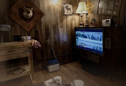 Stabbin Cabin