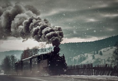 Arctic Express