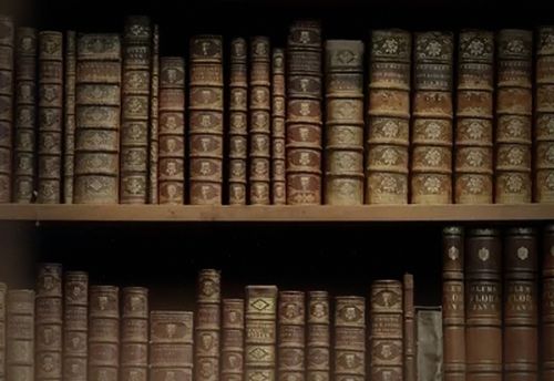Librarian's Revenge