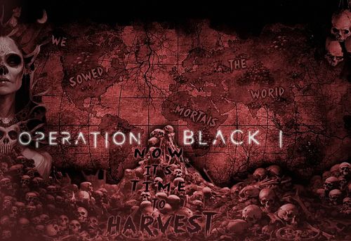 Επιχείρηση Black I