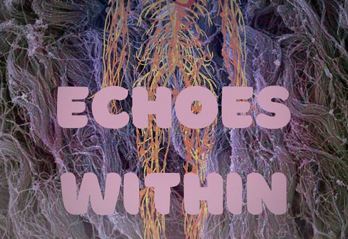 Echoes Within