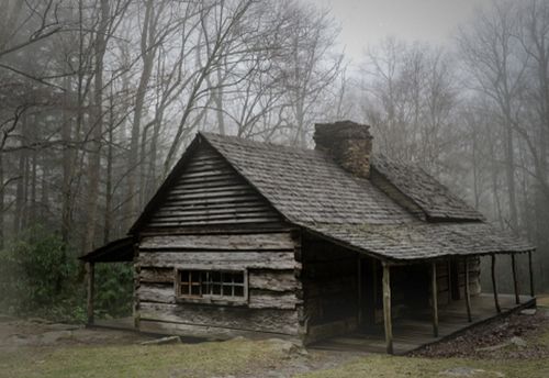 Cabin in the Woods