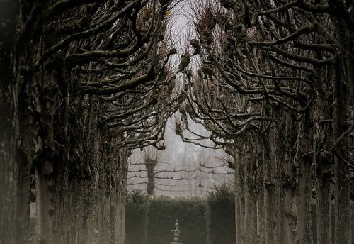 The Curse at Willow Creek