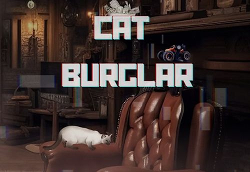 Cat Burglar