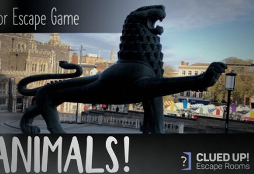 Amazing Animals!