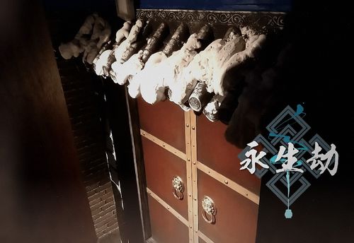 永生劫