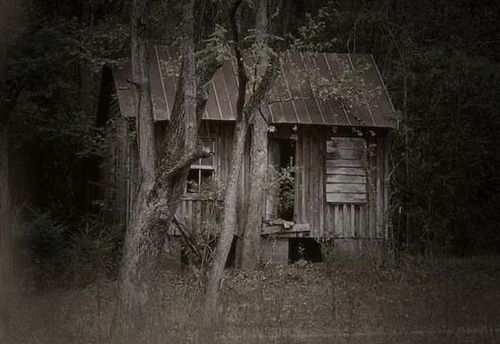 Mrs Rose's House